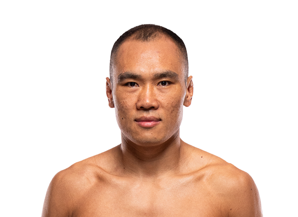 Ding Meng